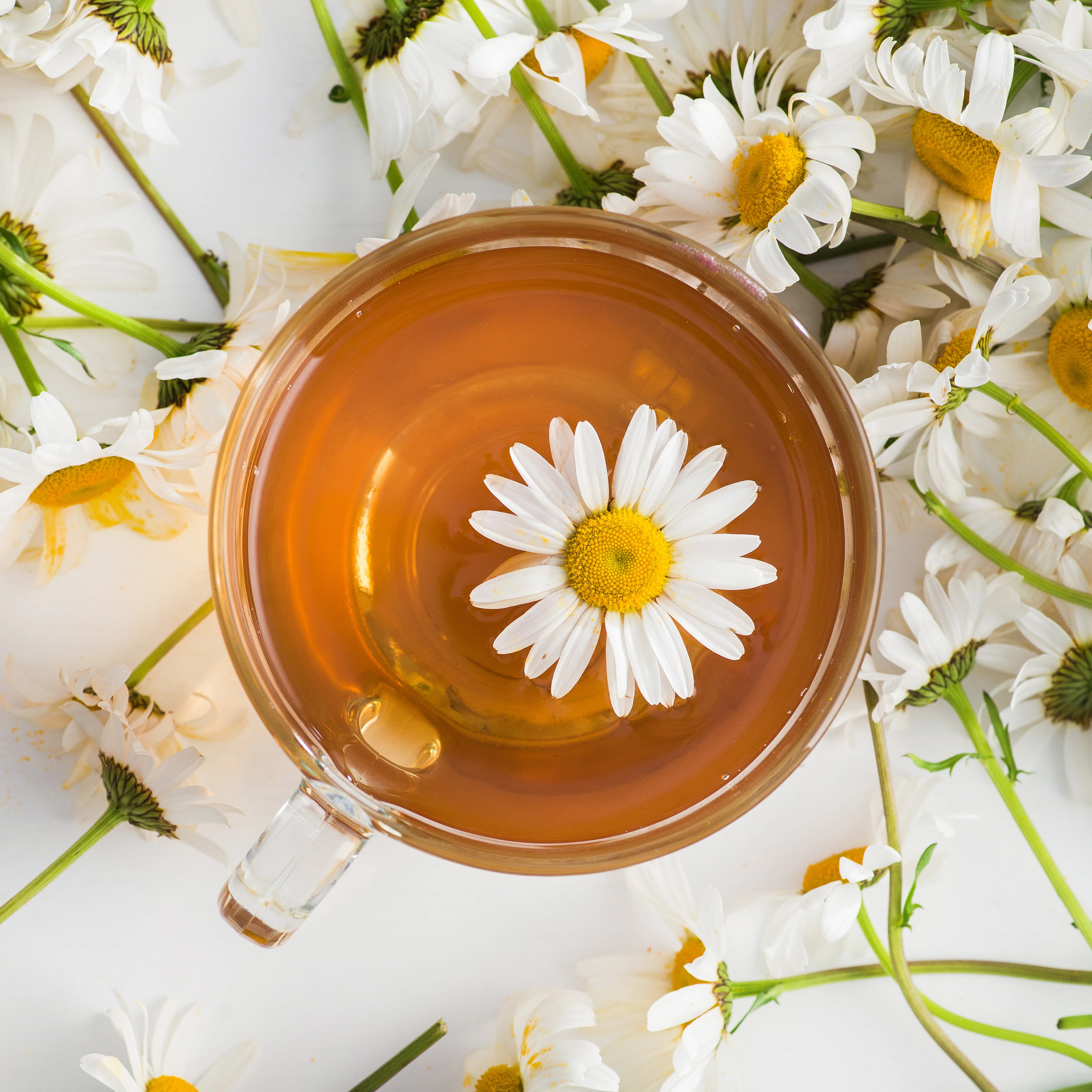 Chamomile Flowers (German) - Image 3