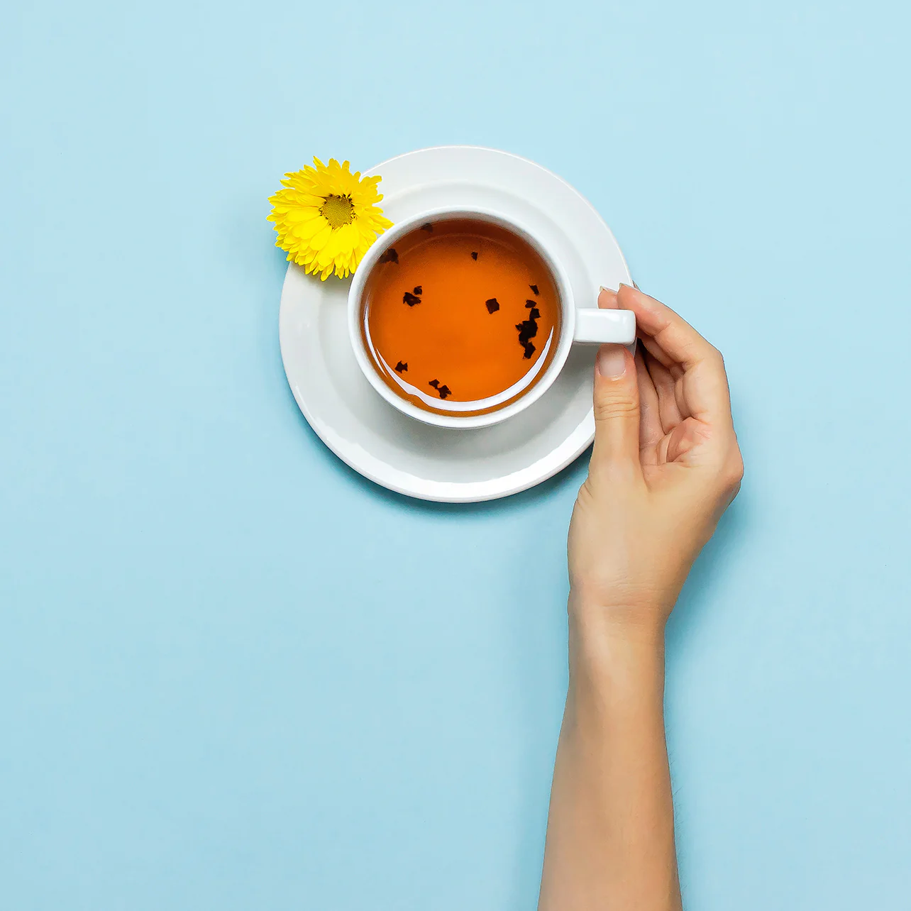 Chamomile Flowers (German) Powder - Image 3