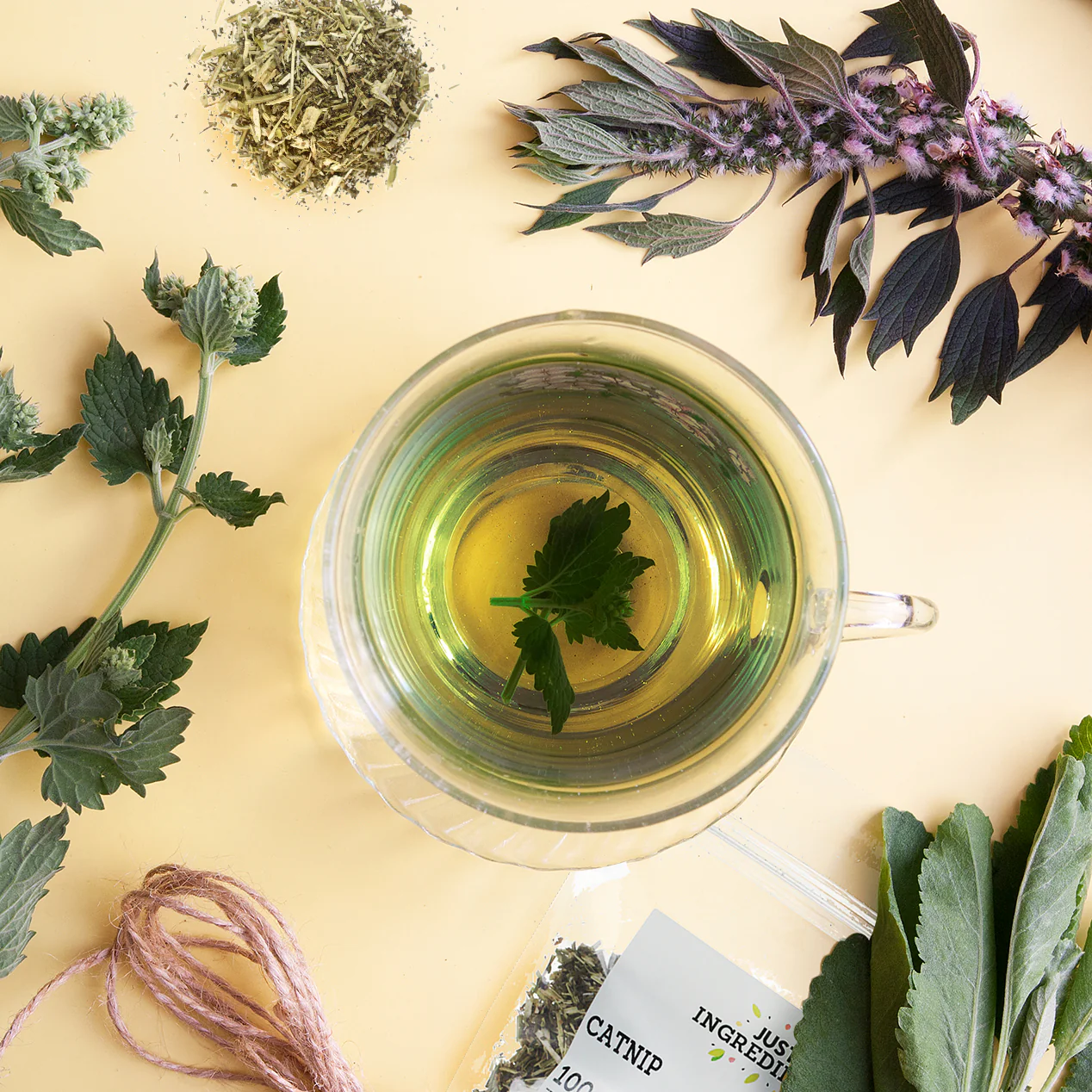 Clivers Herb (Cleavers) - Image 3
