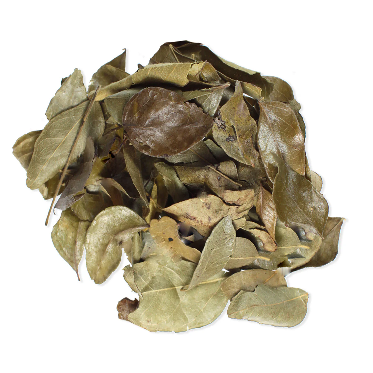 Curry Leaves
