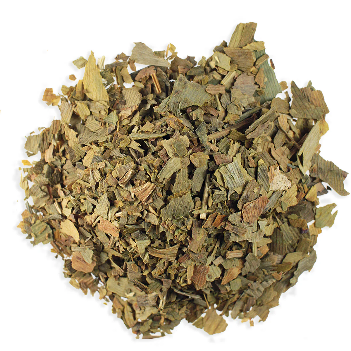 Ginkgo Biloba (Maidenhair)
