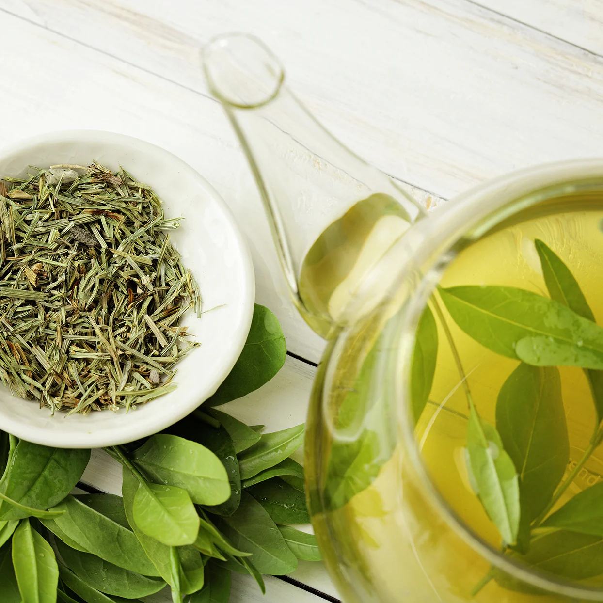 Ginseng -Siberian - Image 3