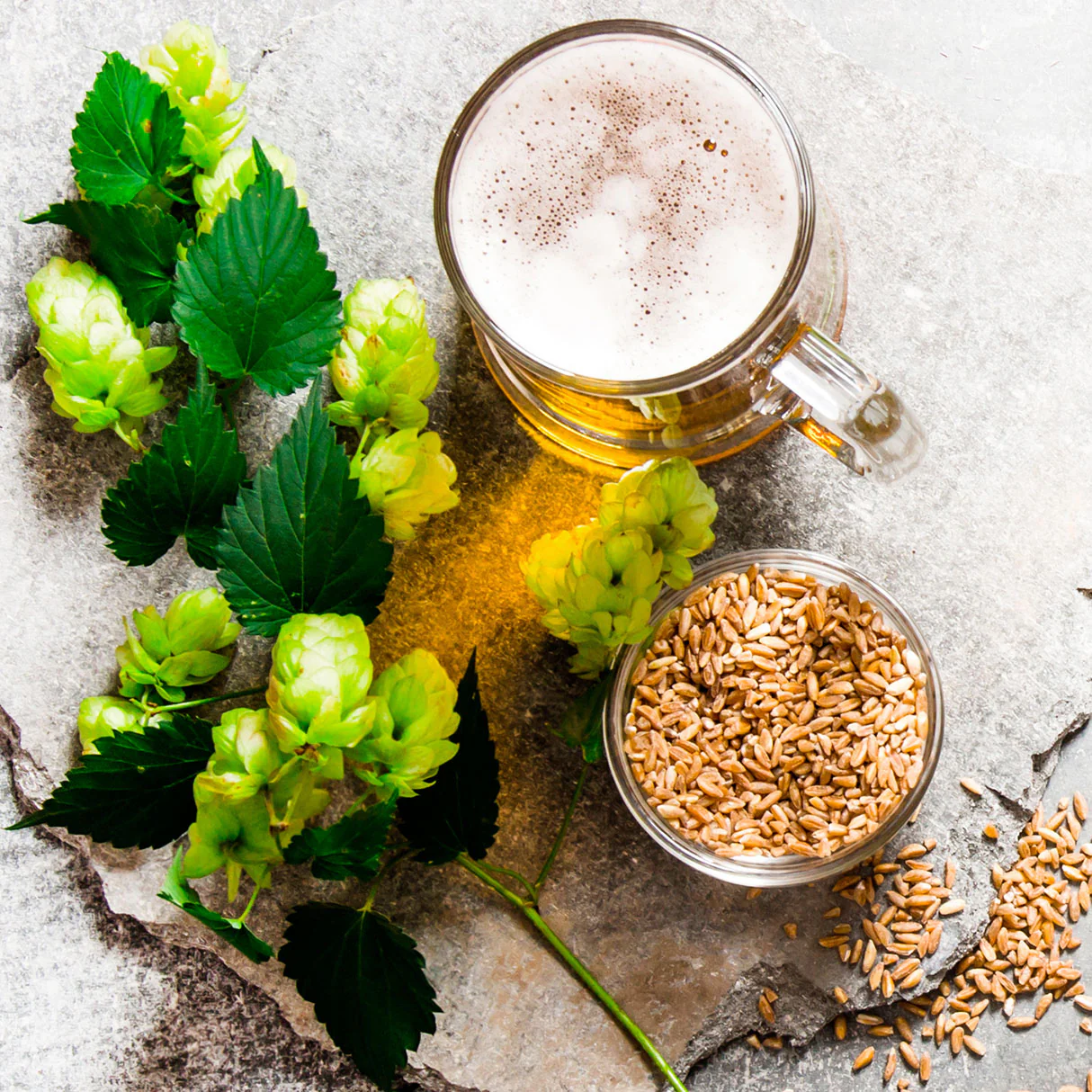 Hops Powder - Image 3