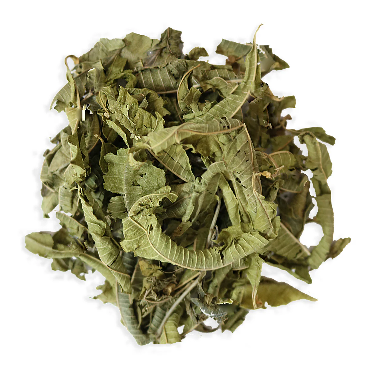 Lemon Verbena Whole