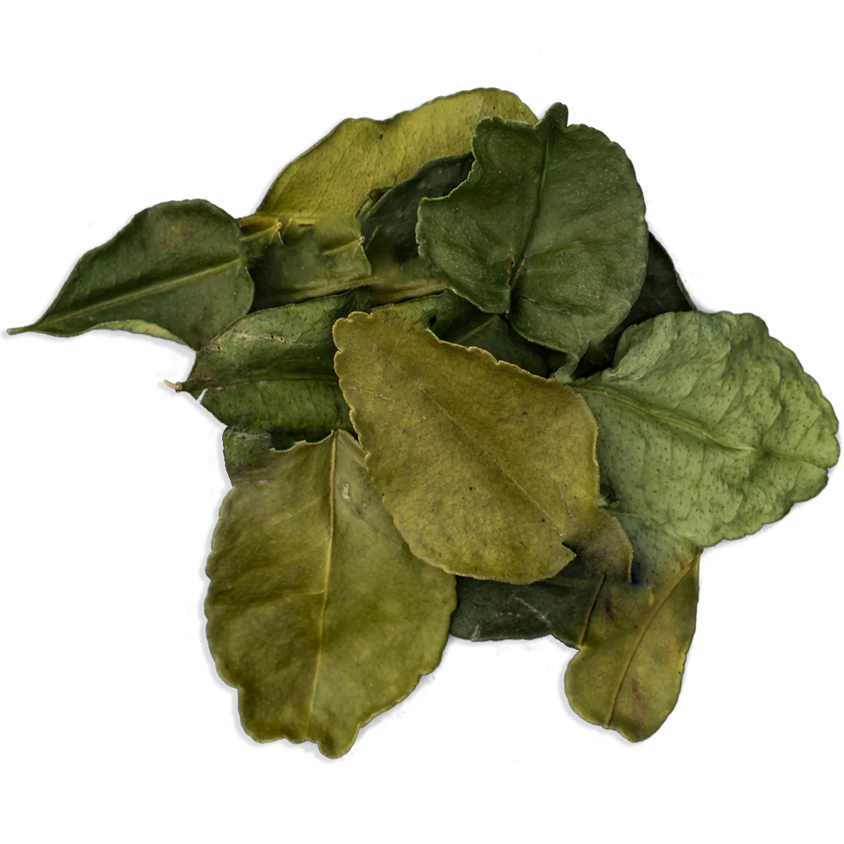 Kaffir (Makrut) Lime Leaves