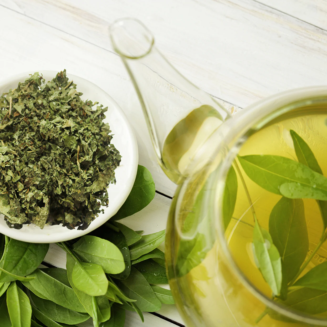 Nettle Leaves - Image 3