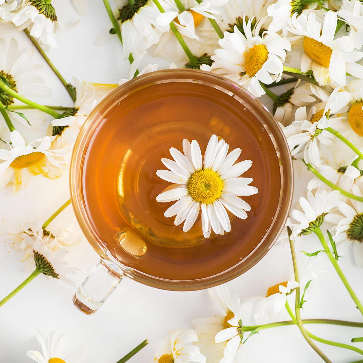 Organic Chamomile Flowers - Image 3