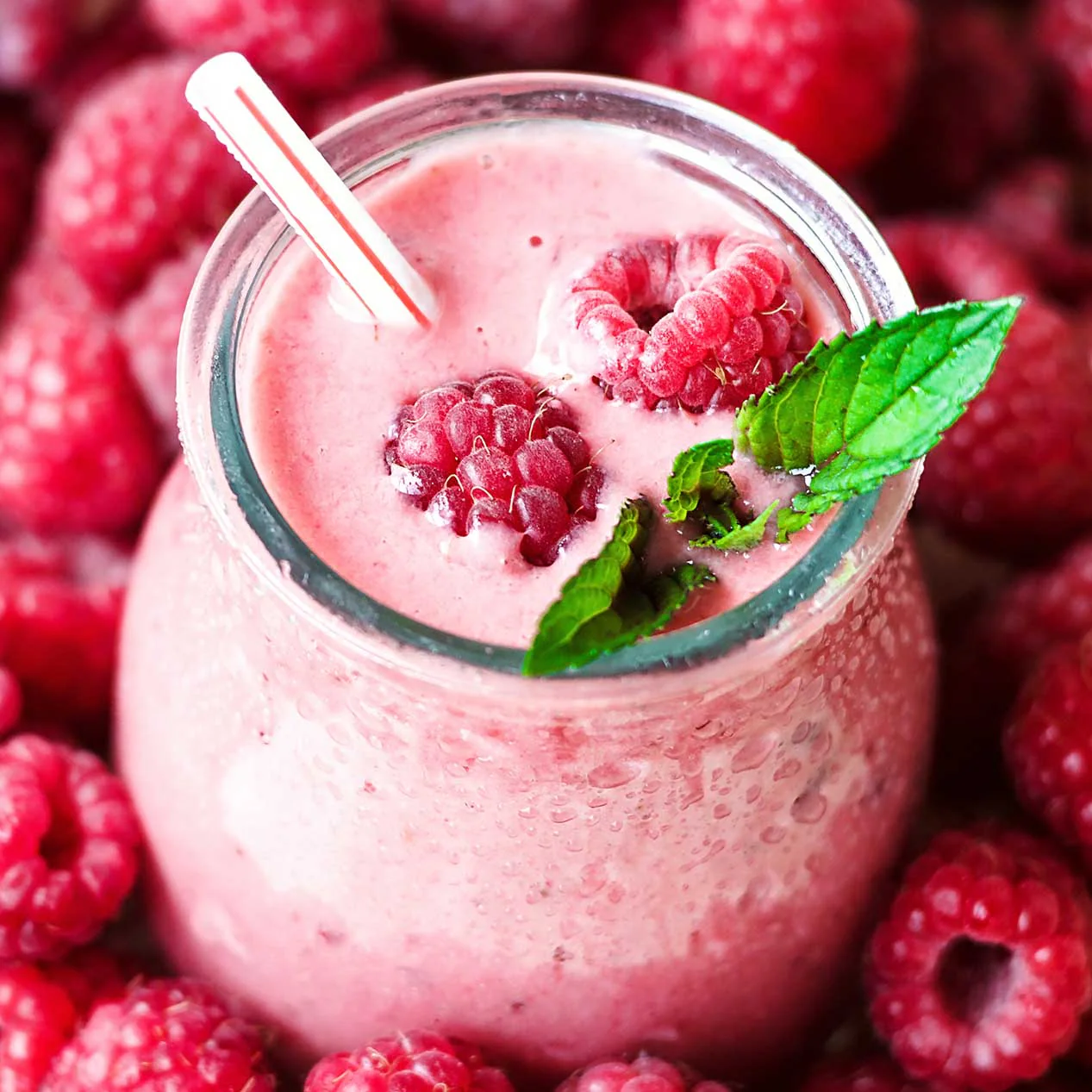 Raspberry Fruit Powder - Image 3