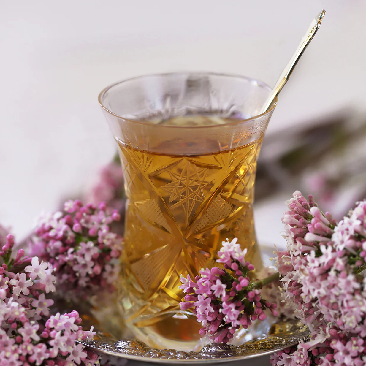 Valerian Root - Image 3