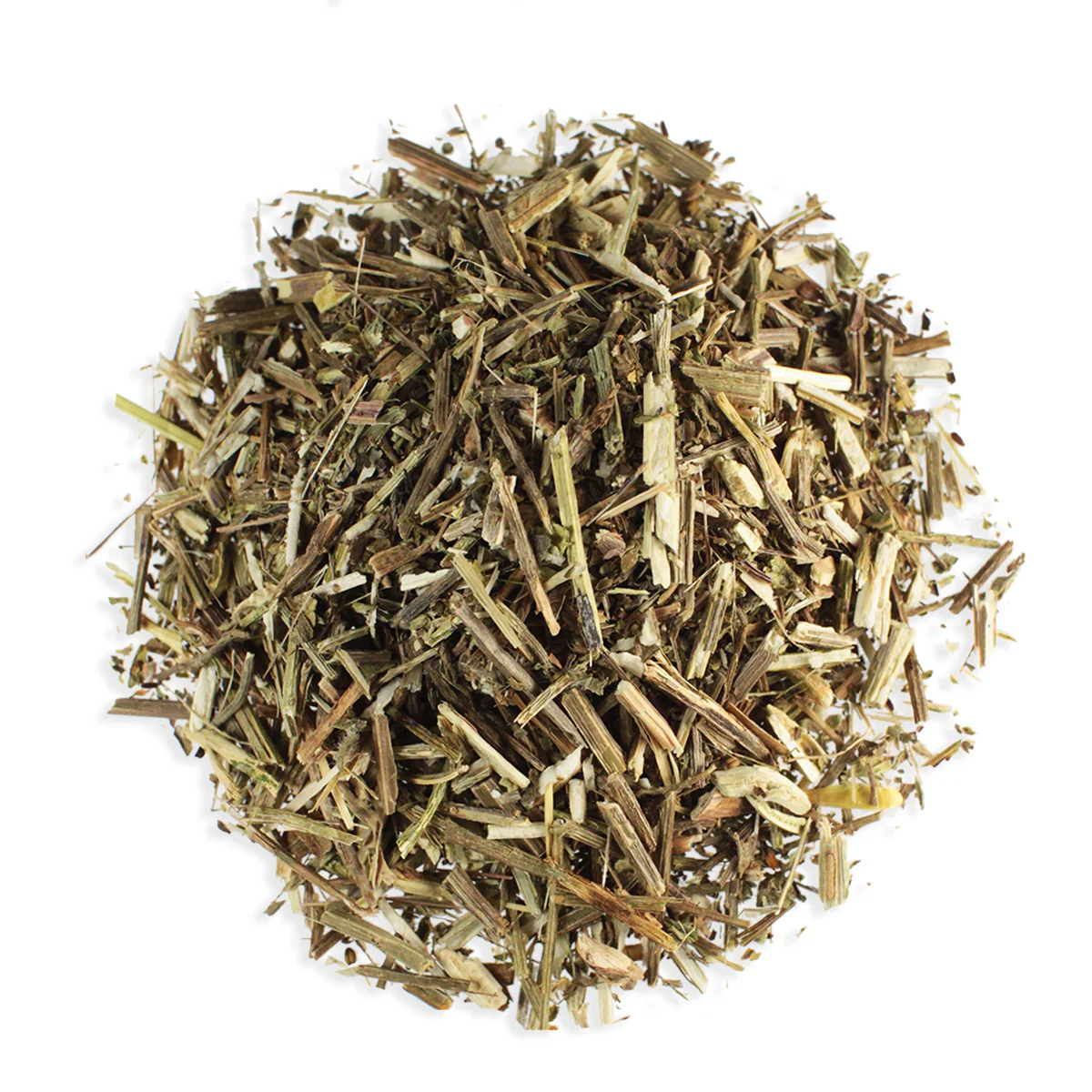 Vervain